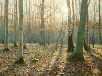 Landscapes - Sold (140)